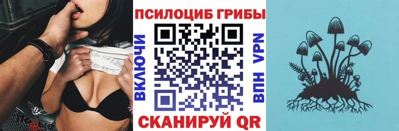 Купить где  Сурск  Галлюциногенные грибы Cubensis 